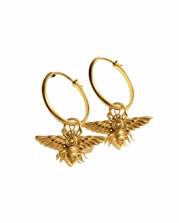 The Winged One Earrings - Image 2